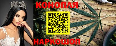 дживик Будённовск
