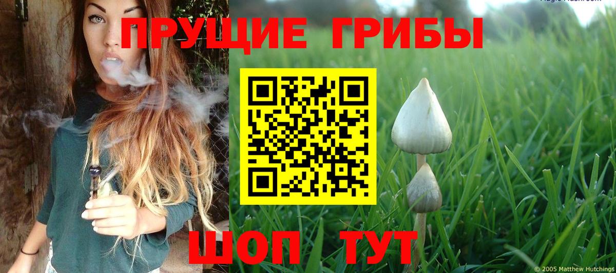 наркошоп  Вход с VPN  Усть-Кут  Галлюциногенные грибы Cubensis 