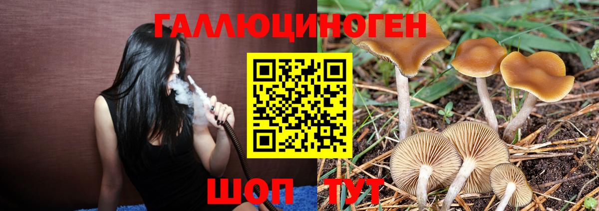 Галлюциногенные грибы мухоморы Усть-Кут